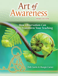 Art of Awareness: How Observation Can Transform Your Teaching, 3rd Edition